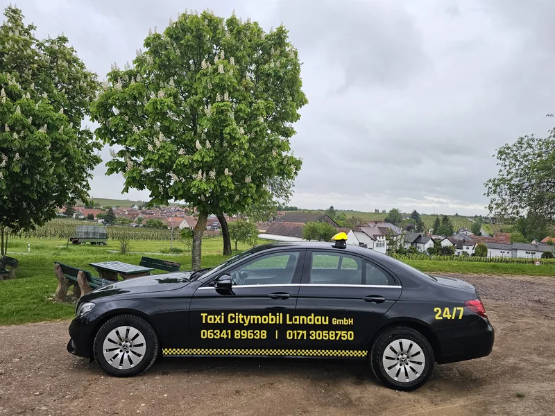 Mercedes-Benz E-Klasse Taxi von City-Mobil Landau vor den Weinbergen der Südlichen Weinstraße